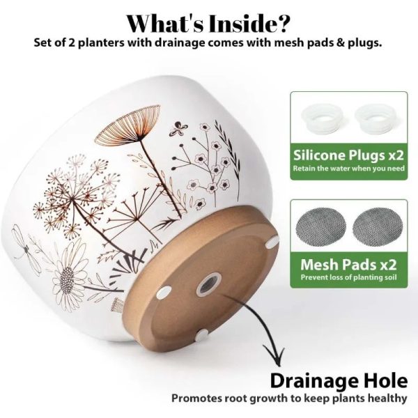 8 Inch + 6 Inch White &Terracotta Flower Pots with Drainage Holes - Image 3