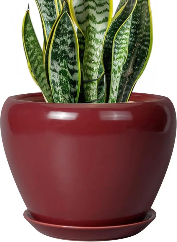 10 Inch Ceramic Planter with Drainage Hole and Saucer - Image 10