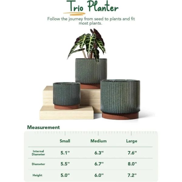 Ceramic Plant Pots with Drainage Holes, Set of 3, 8+6.7+5.5 Inch - Image 6