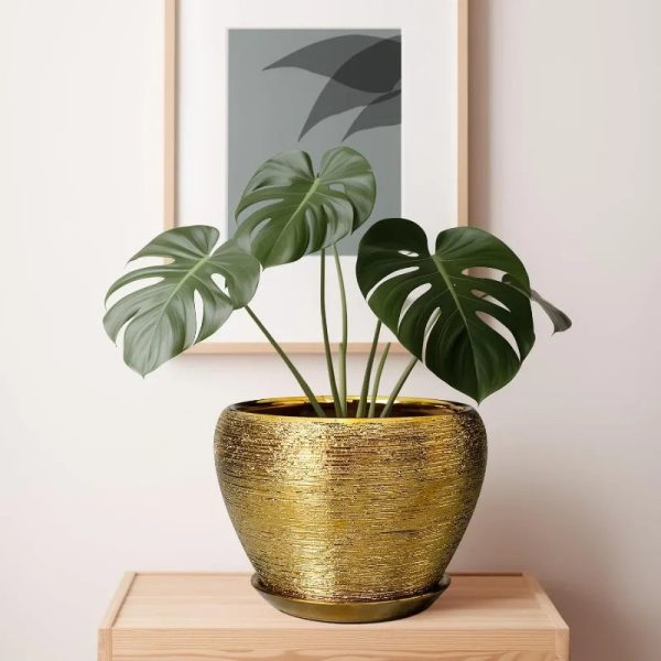 10 Inch Ceramic Planter with Drainage Hole and Saucer - Image 7