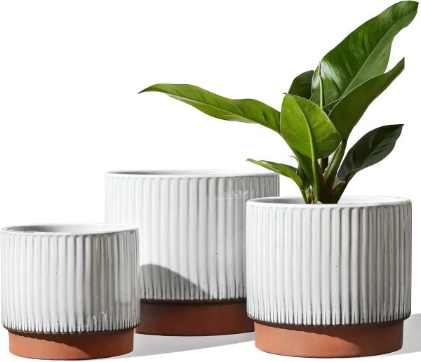 Ceramic Plant Pots with Drainage Holes, Set of 3, 8+6.7+5.5 Inch - Image 9