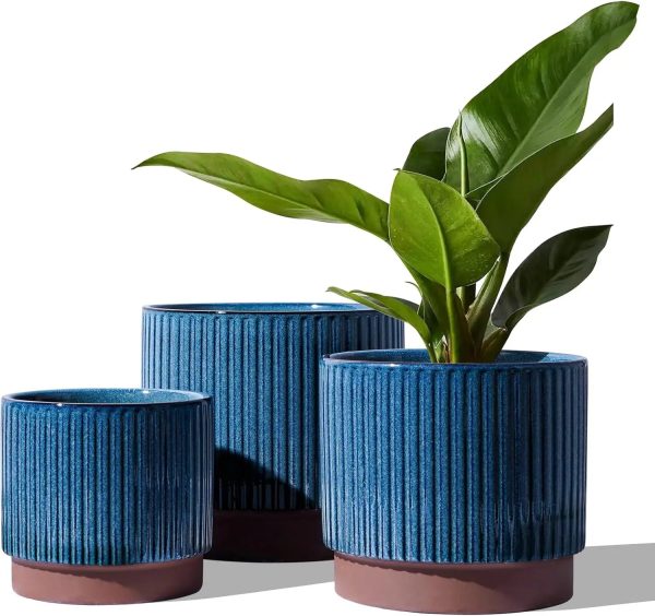 Ceramic Plant Pots with Drainage Holes, Set of 3, 8+6.7+5.5 Inch - Image 8