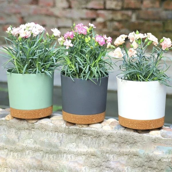 Flower Pot With Drainage Hole and Tray - Image 2