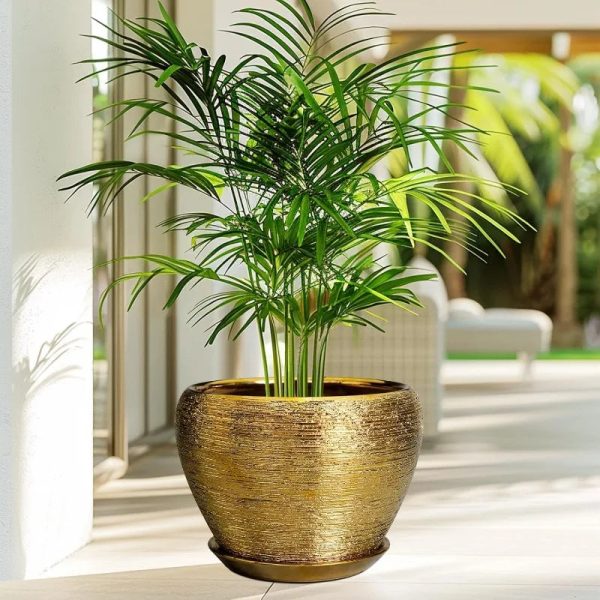 10 Inch Ceramic Planter with Drainage Hole and Saucer - Image 6