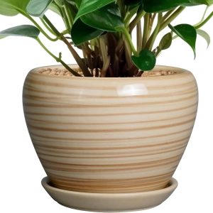 10 Inch Ceramic Planter with Drainage Hole and Saucer