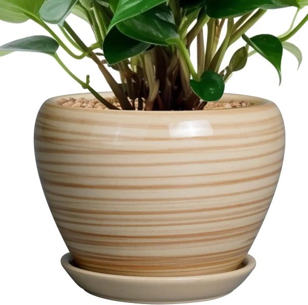 10 Inch Ceramic Planter with Drainage Hole and Saucer