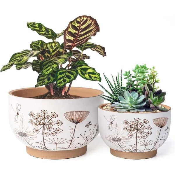 8 Inch + 6 Inch White &Terracotta Flower Pots with Drainage Holes