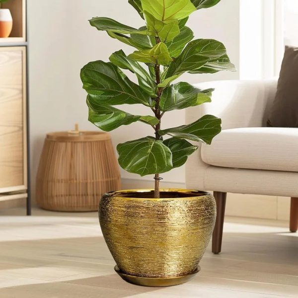 10 Inch Ceramic Planter with Drainage Hole and Saucer - Image 3