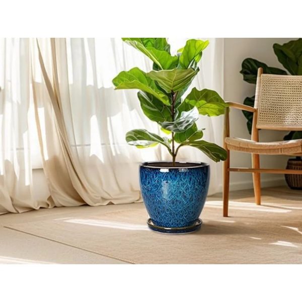 10 Inch Ceramic Flower Pot With Drainage Hole and Saucer - Image 5