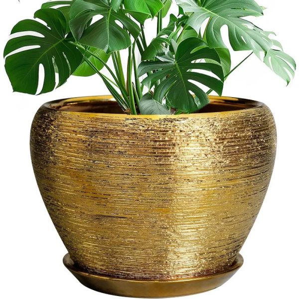 10 Inch Ceramic Planter with Drainage Hole and Saucer - Image 2