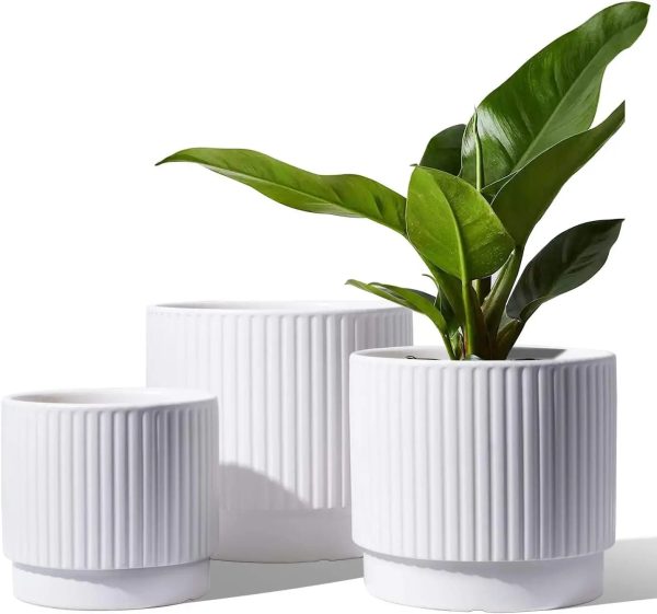 Ceramic Plant Pots with Drainage Holes, Set of 3, 8+6.7+5.5 Inch - Image 11