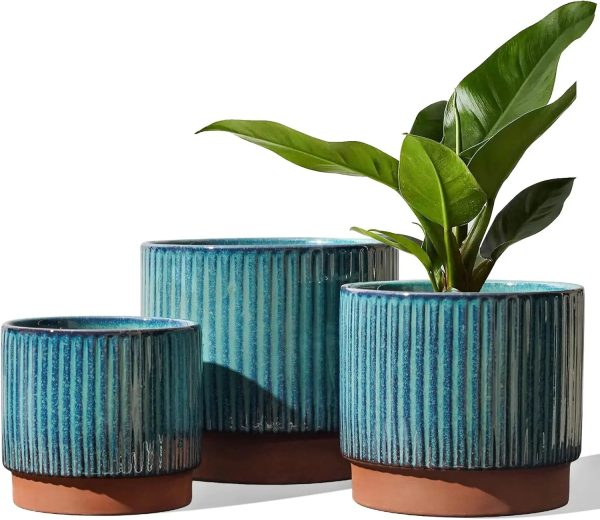 Ceramic Plant Pots with Drainage Holes, Set of 3, 8+6.7+5.5 Inch - Image 7