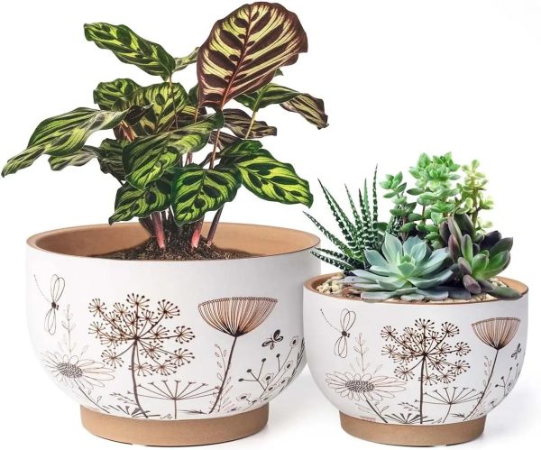 8 Inch + 6 Inch White &Terracotta Flower Pots with Drainage Holes - Image 7