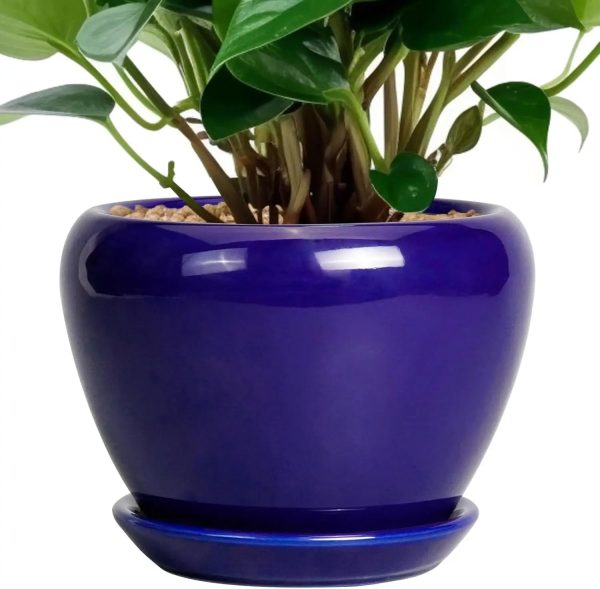 10 Inch Ceramic Planter with Drainage Hole and Saucer - Image 12