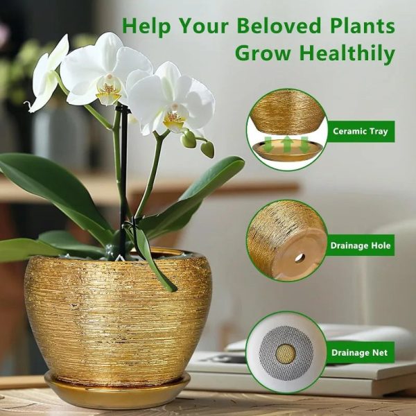 10 Inch Ceramic Planter with Drainage Hole and Saucer - Image 5