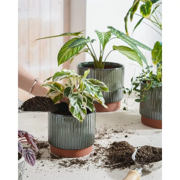 Ceramic Plant Pots with Drainage Holes, Set of 3, 8+6.7+5.5 Inch - Image 4