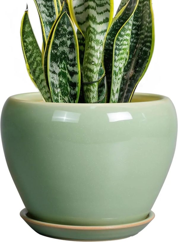 10 Inch Ceramic Planter with Drainage Hole and Saucer - Image 13