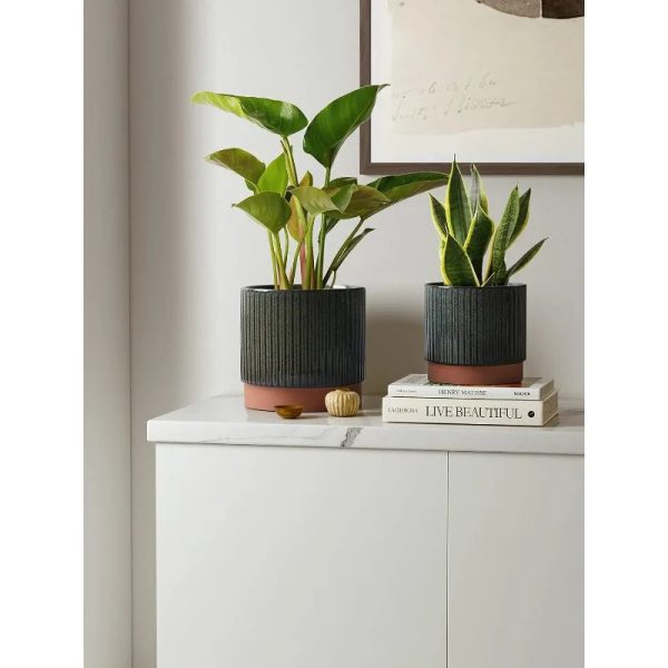Ceramic Plant Pots with Drainage Holes, Set of 3, 8+6.7+5.5 Inch - Image 2