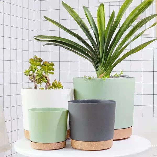 Flower Pot With Drainage Hole and Tray