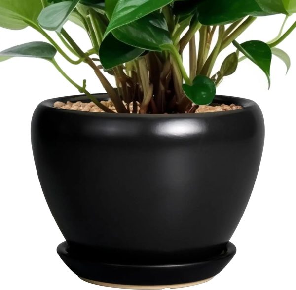 10 Inch Ceramic Planter with Drainage Hole and Saucer - Image 9