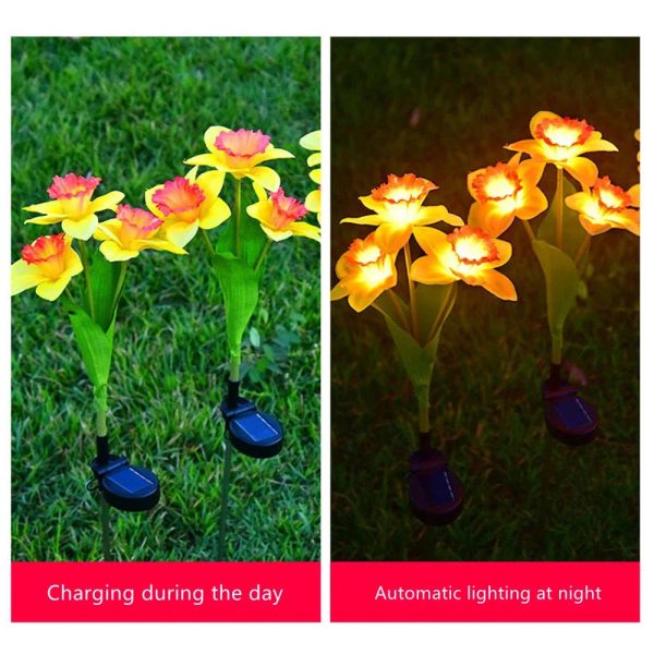 Solar Daffodil Flower Light - Image 3