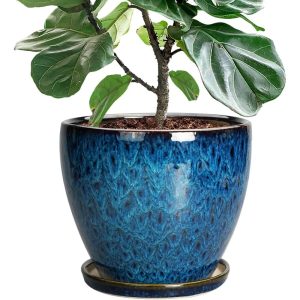 10 Inch Ceramic Flower Pot With Drainage Hole and Saucer